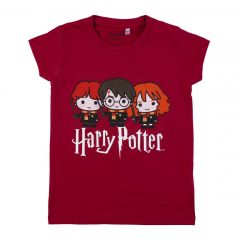 Camiseta Corta Harry Potter