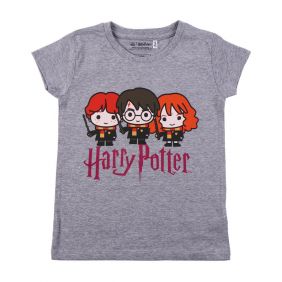 Camiseta Corta Harry Potter