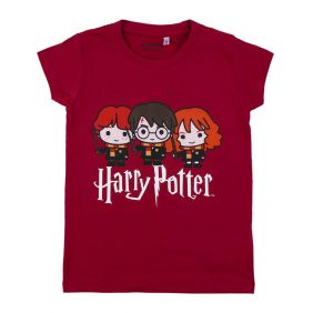 Camiseta Corta Harry Potter