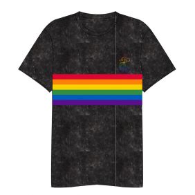 Camiseta Corta Acid Wash Disney Pride Adultos
