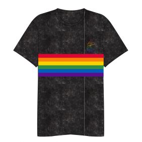 Camiseta Corta Acid Wash Disney Pride Adultos