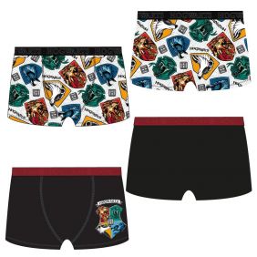 Pack Boxer 2 Piezas Harry Potter Adultos