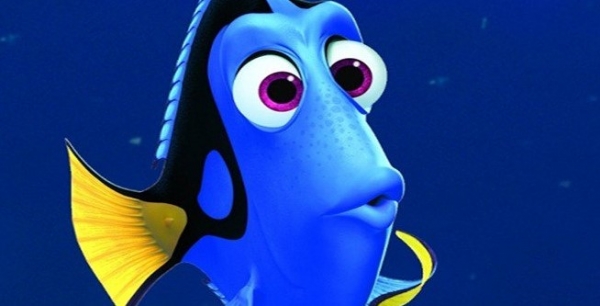 ¿Buscabas a Dory?