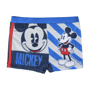 Banador Mickey