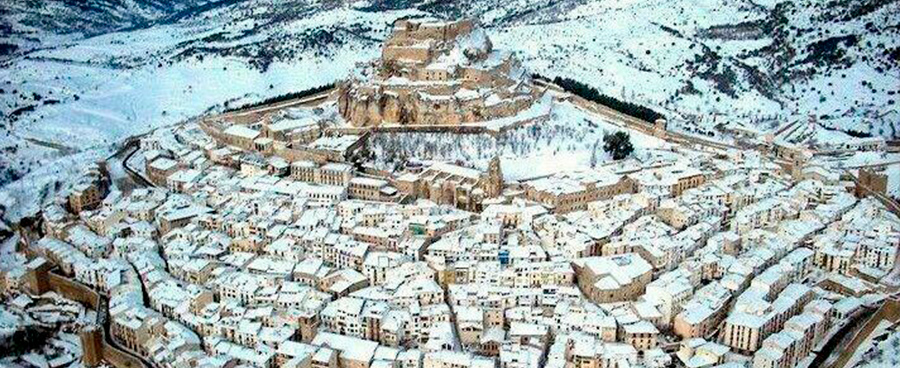 morella